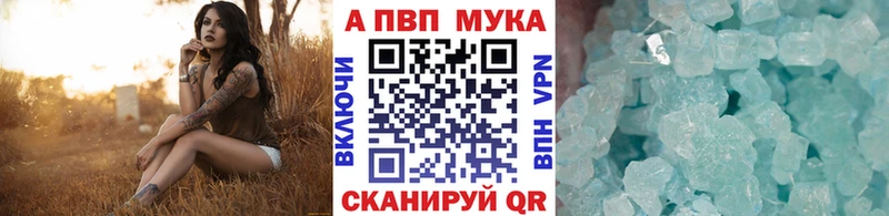 Купить закладки  Кашин  APVP крисы CK 