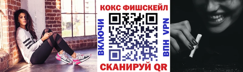 COCAIN Fish Scale  Купить  Кашин 