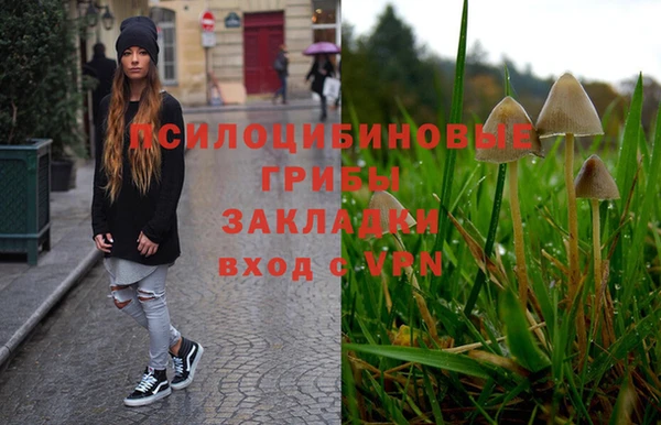 мескалин Магадан