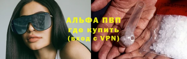 сатива Магас