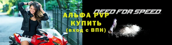 сатива Магас