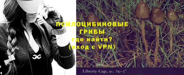 сатива Магас