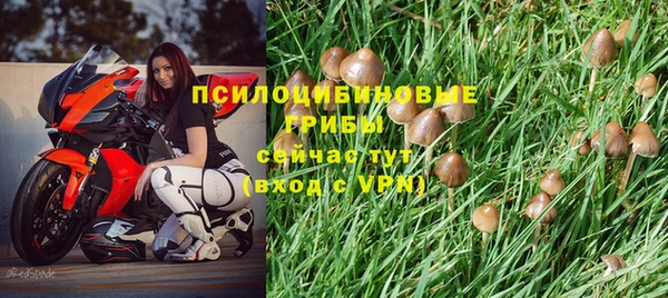 мескалин Магадан