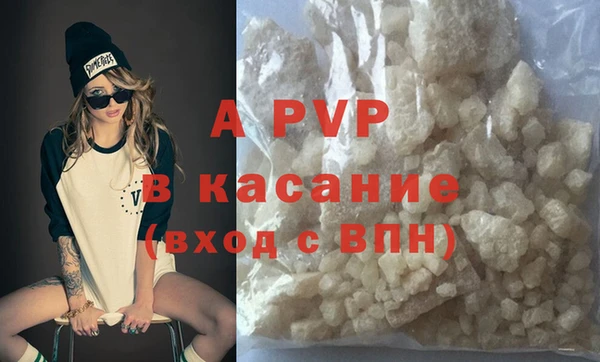 сатива Магас