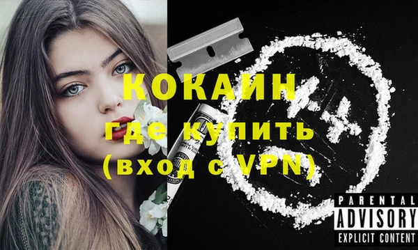 сатива Магас