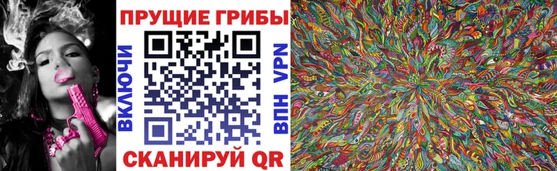 Галлюциногенные грибы Cubensis Кашин