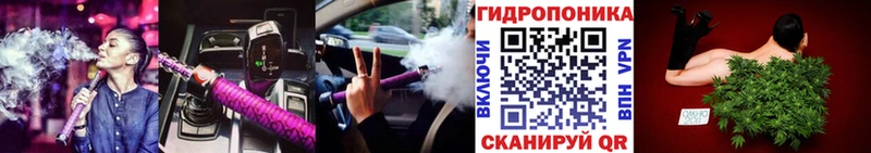 Каннабис планчик Кашин